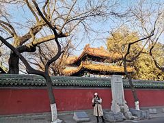 -北京国子监胡同