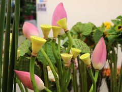 -双季花艺园艺市场(浦东店)