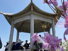 -午潮山国家森林公园