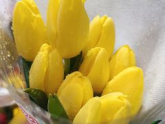 -循礼门鲜花花市(武汉循礼门店)