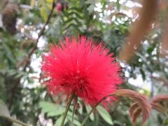 -南通洲际绿博园