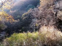 -黑龙潭风景区