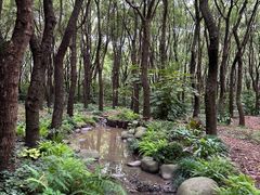 -上海滨江森林公园