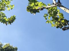 -上海孙中山故居纪念馆