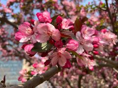 -元大都城垣遗址公园