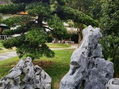 -深圳仙湖植物园