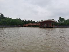 -东寨港红树林旅游区