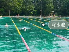 -柳浪游泳场