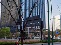 -无界眼镜MaxLess(滨江星光大道店)