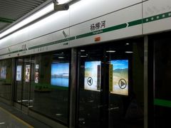 -杨柳河(地铁站)