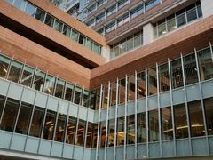 -香港大学