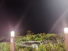 -渔家火锅·海鲜自助餐·演艺(亚龙湾天域酒店)