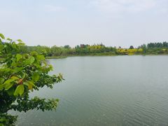 -东郊湿地公园