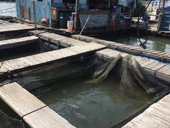 -海上驿站渔家菜馆