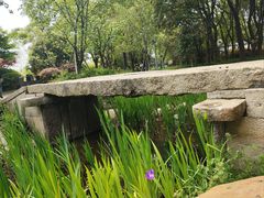 -澹台湖公园