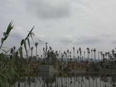 -枫香湖儿童公园