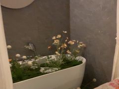 -小仙女采耳·按摩·SPA(深圳旗舰店)