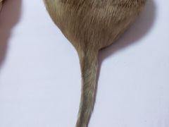 -圣宠动物医院·犬猫专科·影像中心·外科中心
