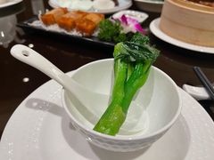 -桃源春晓中餐厅 TaoYuan Restaurant