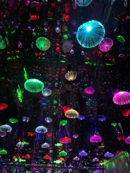 -疯狂冒险家-亲子密室-东坝店(金隅嘉品店)