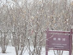 -丰台花园