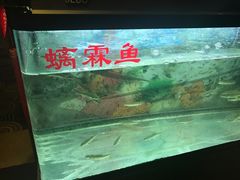 -神憩宾馆-餐厅