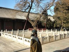 -北京国子监胡同