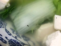 -阿鹏故事云南野生菌火锅(人民路店)