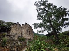 -塔川景区