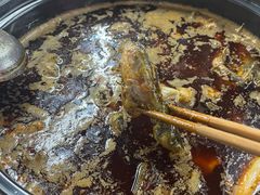 -金海椒罐罐鲢鱼(东方桂苑店)