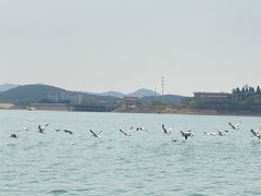 -北京金海湖景区