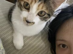 -谐和益家动物医院·免疫绝育·血液透析·宠保定点医院(高新伊藤分院)