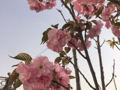 -卢沟桥文化旅游区