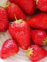 -蓝呗呗蓝莓草莓采摘园(通州区马驹桥店)