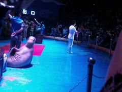 -烟台海昌鲸鲨海洋公园