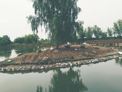 -盐城丹顶鹤湿地生态旅游区