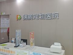 -瑞鹏宠物医院·骨外科·心肾科·肿瘤科(九亭店)