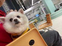 -怪兽屋·羊驼·猫咖·狗咖(俊华广场店)