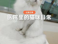 -海门爱心宠物医院