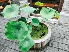 -糖房咖啡(南锣鼓巷店)