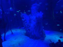 -沈阳海洋探索中心