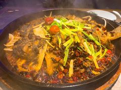 -老板恋上鱼(高新万达店)