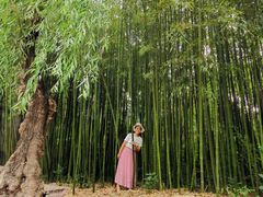 -竹泉村旅游度假区