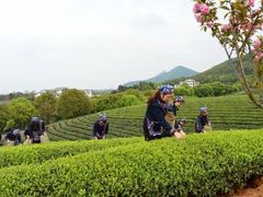 -敬亭山风景名胜区