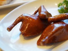 -羽鸽集·乳鸽专门店·地道顺德菜(岭南站店)