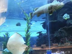 -鸿通城购物中心