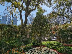 -北外滩滨江绿地