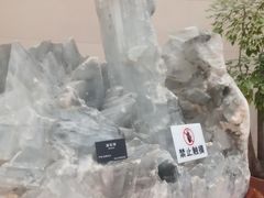 -安徽省地质博物馆