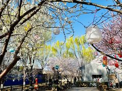 -春风习习