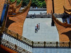 -东莞市大岭山森林公园